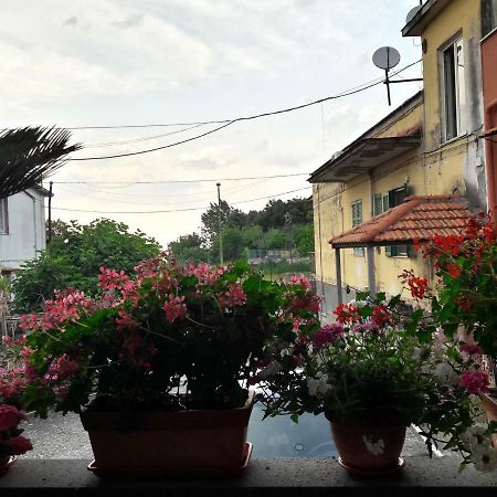 La Caldera Del Vesuvio Bed and Breakfast Ερκολάνο Εξωτερικό φωτογραφία