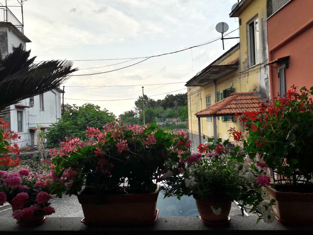 La Caldera Del Vesuvio Bed and Breakfast Ερκολάνο Εξωτερικό φωτογραφία